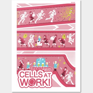 Cells at work Posters and Art